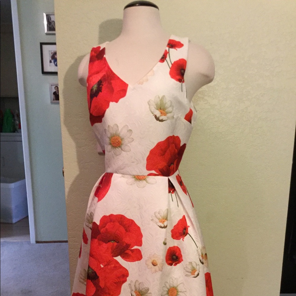 50’s era dress